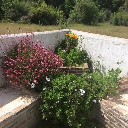 Villa Efi Evia